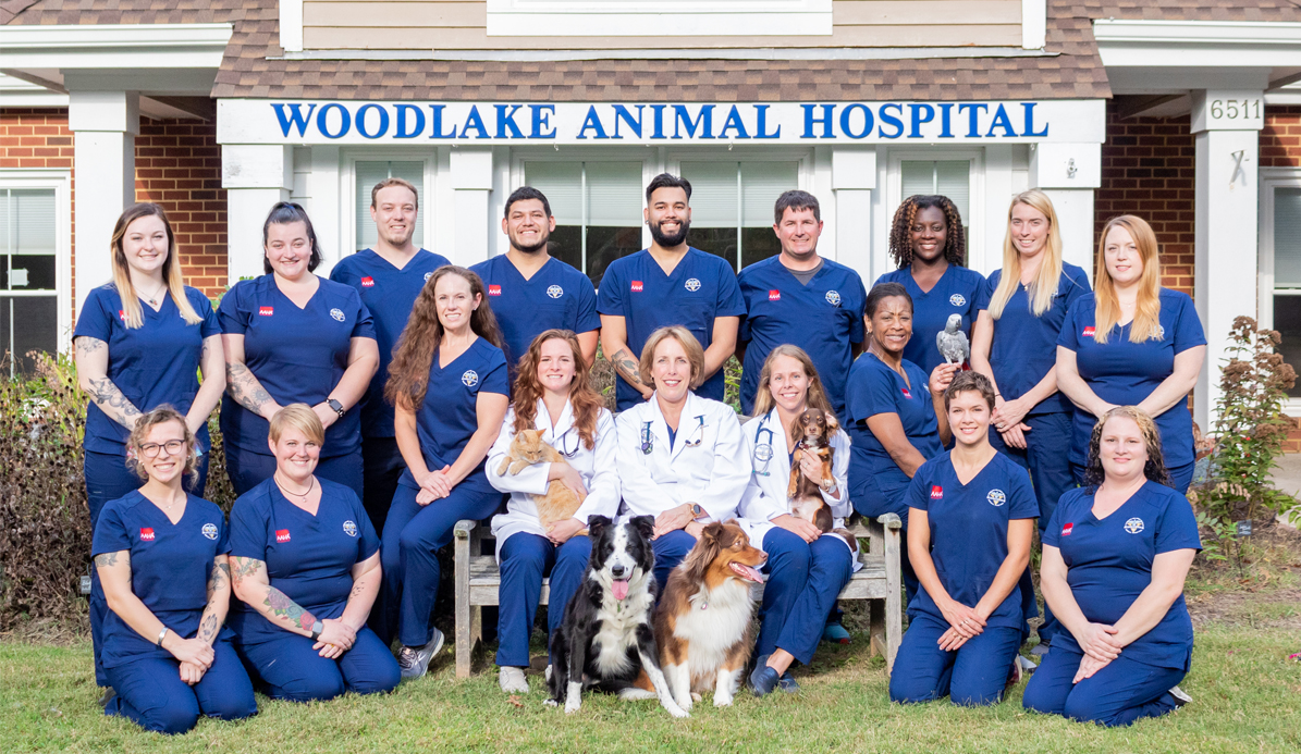AAHA - Vet in Midlothian | Woodlake Animal Hospital